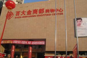 六安百大金商都購(gòu)物中心電梯安裝工程安裝